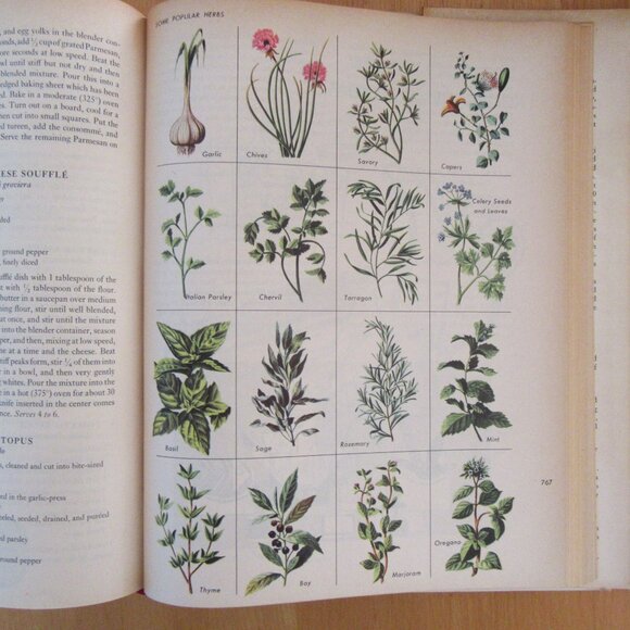 GREAT ITALIAN COOKING Luigi Carnacina (HC 1965) Instruction, Dictionary, Recipes - Picture 8 of 11